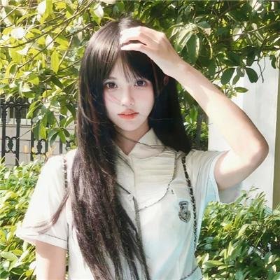 西部战线